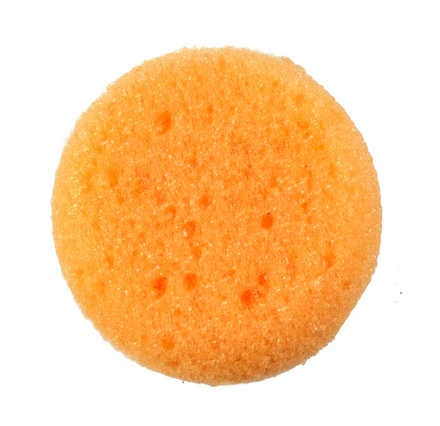 Round Sponge