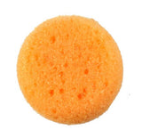 Round Sponge